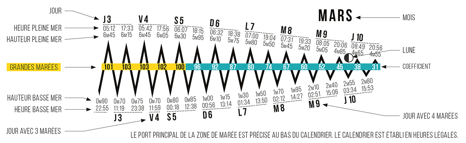 Zoom sur une courbe de marée avec heures, hauteurs, coefficients et grandes marées