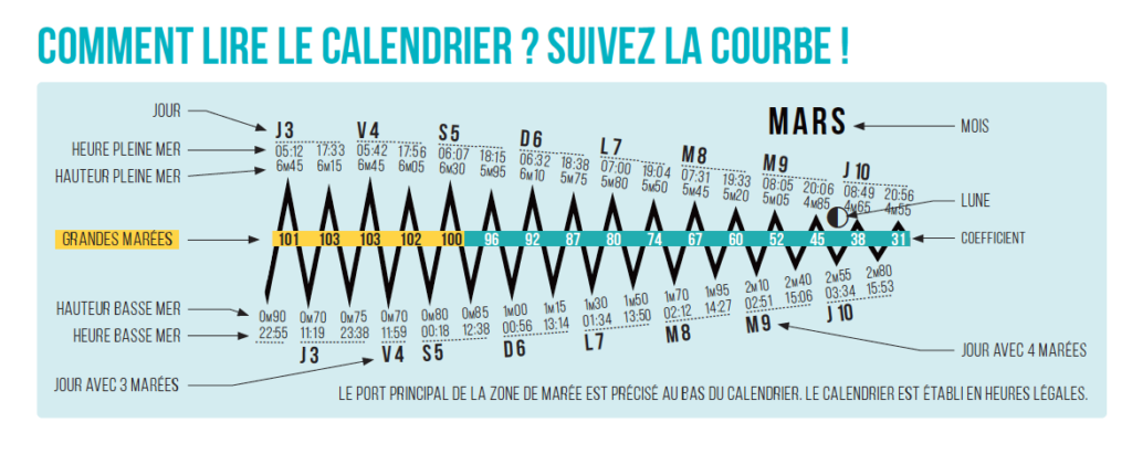 Une courbe de un mois de marées zoomée pour expliquer comment lire les marées