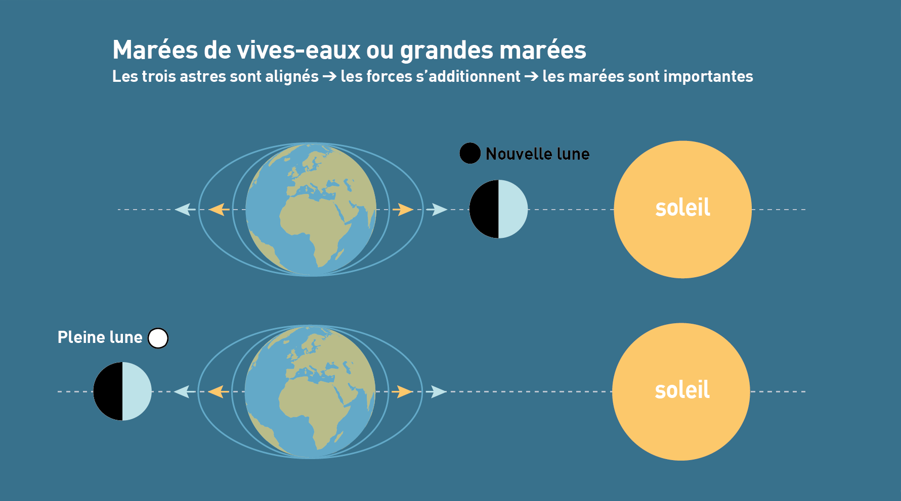 Infographie des positions des astres en vives-eaux et mortes-eaux