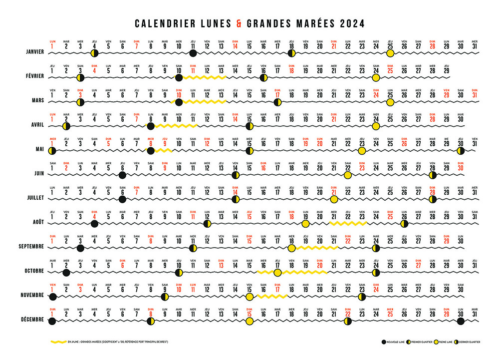 calendrier lunaire 2024 avec les dates des grandes marées incluses dans le graphisme