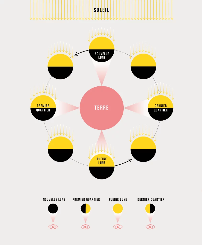 infographie des phases de la lune. Vue de la terre