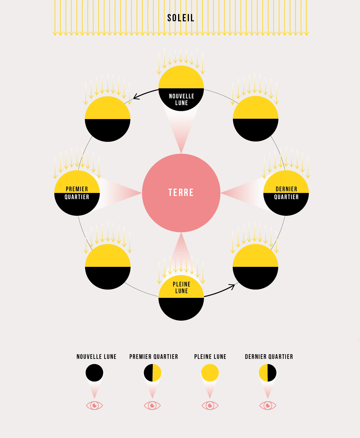infographie des phases de la lune. Vue de la terre