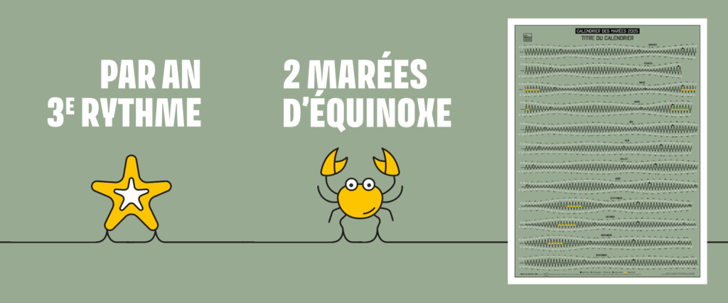 Deux marées d'équinoxe par an. Infographie