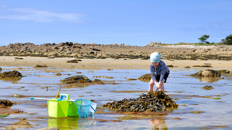 Photo d'une fillette pratiquant la pêche à pied