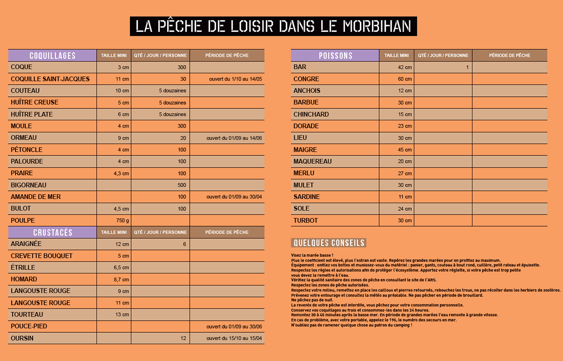 Tableau des tailles des crustacés et coquillages pour la pêche à pied